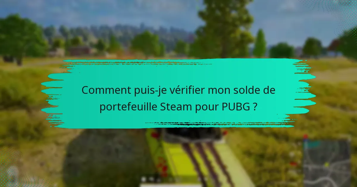 Comment le portefeuille Steam se compare-t-il à d’autres méthodes de paiement pour PUBG ?