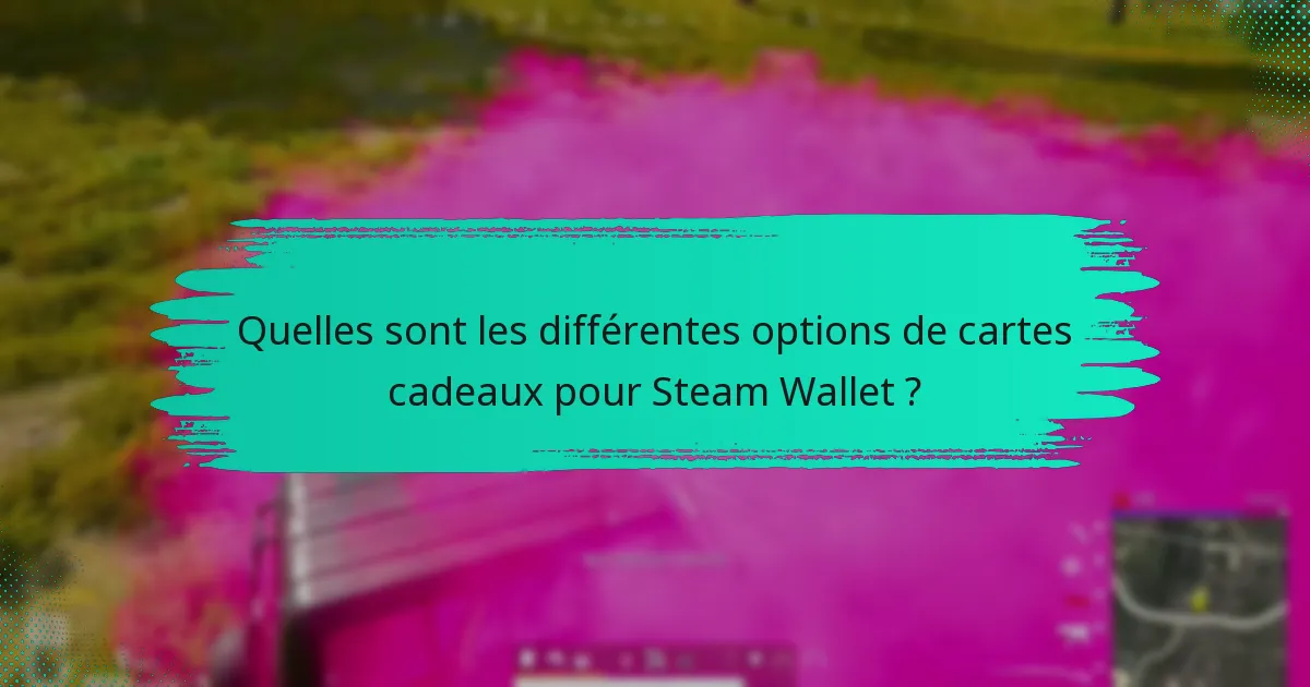 Quelles sont les différentes options de cartes cadeaux pour Steam Wallet ?