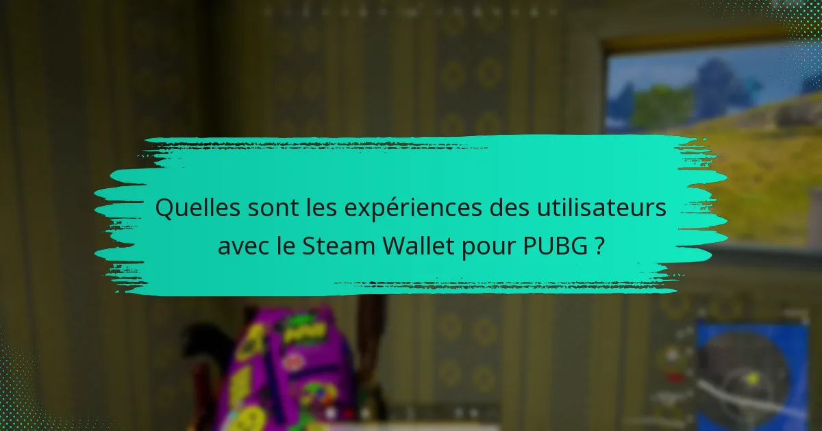 Comment le Steam Wallet se compare-t-il à d’autres méthodes de paiement pour PUBG ?