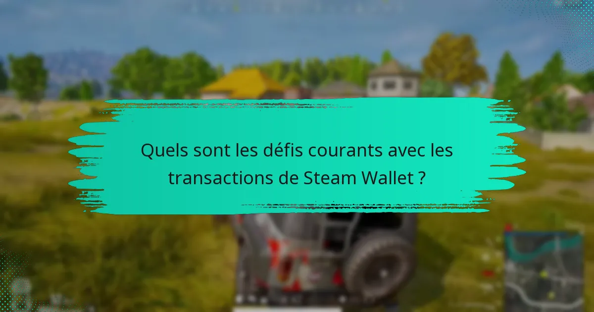 Quelles alternatives existent pour gérer les transactions de Steam Wallet ?